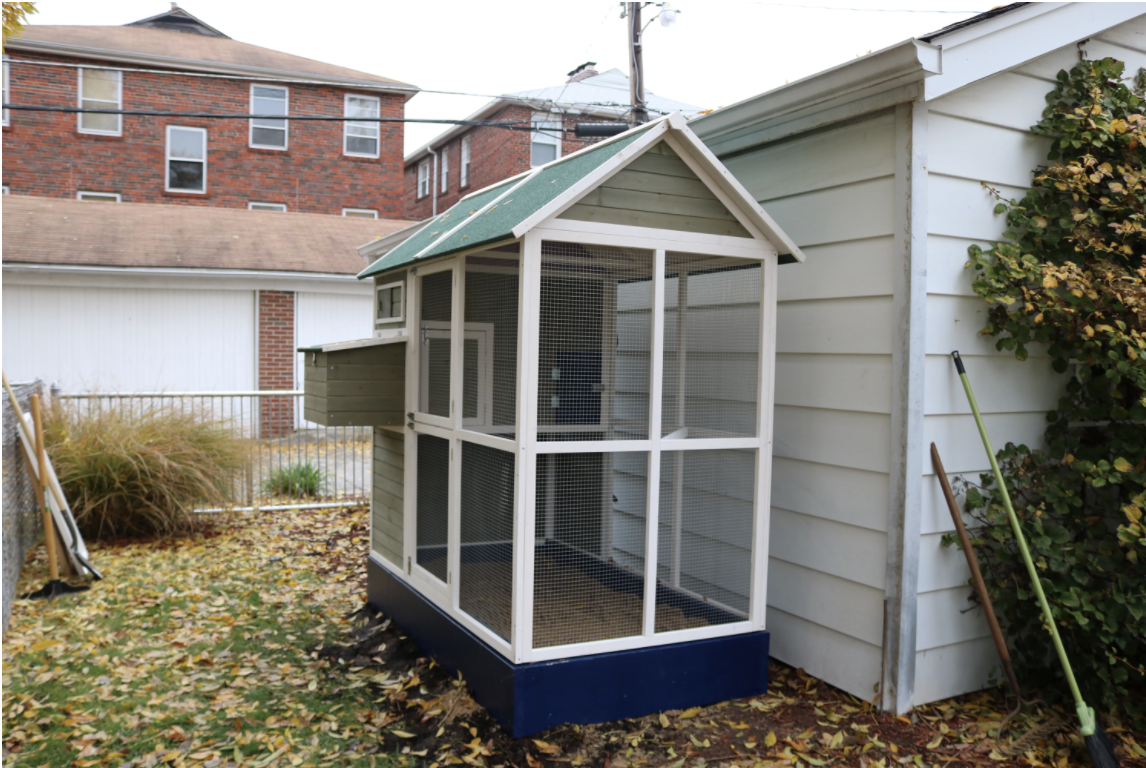 City Chicken Guide Chicken Coop Ideas and Advice from an Expert on